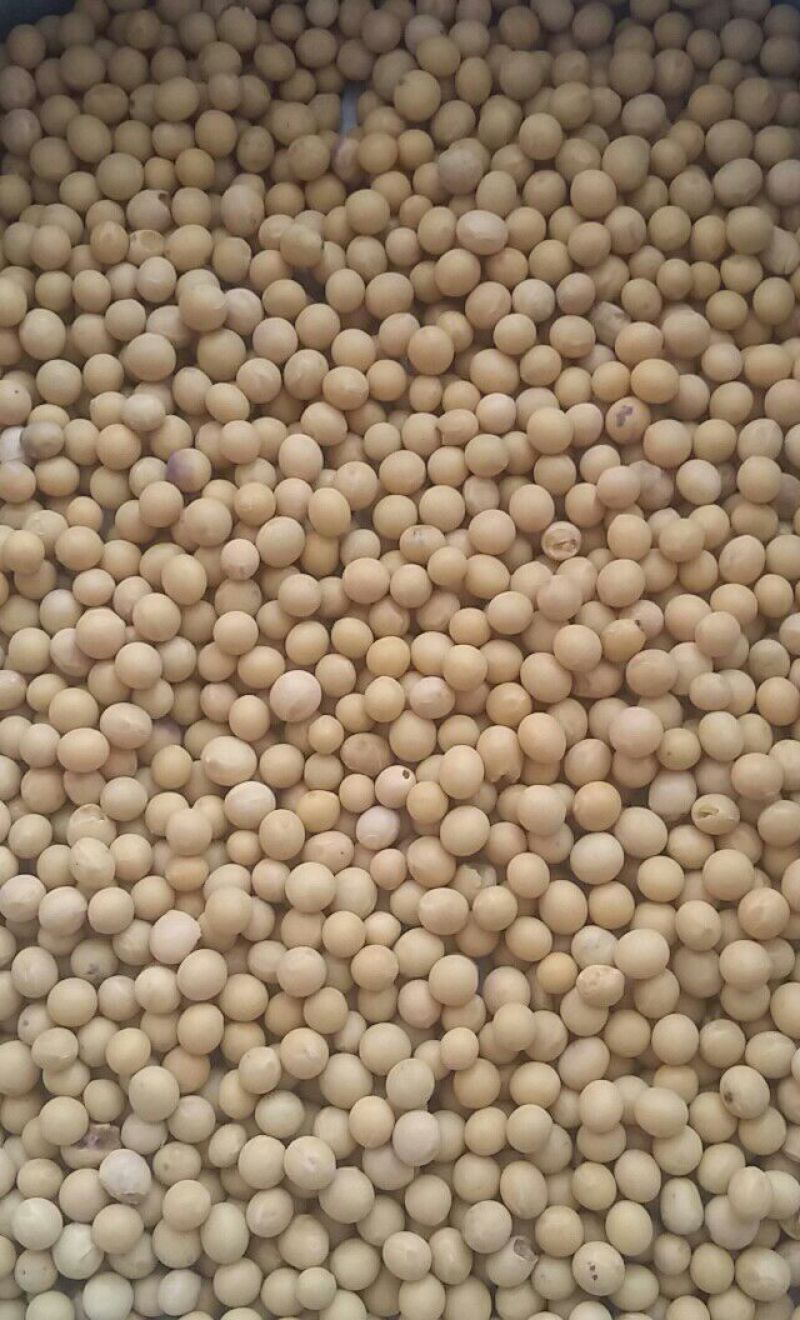 品味郴州五谷杂粮的魅力