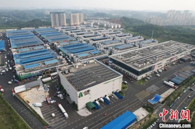 大米批发市场的风云变幻